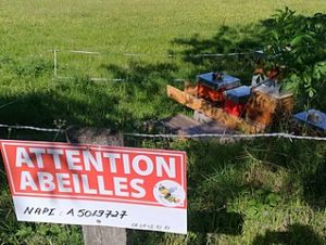 L'immatriculaton des ruches