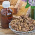 La propolis
