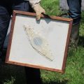 Chasse-abeilles