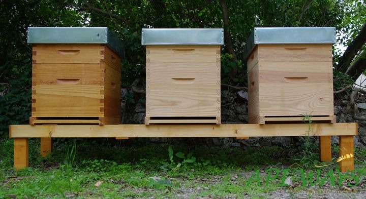 Support de ruches en bois pour abeilles