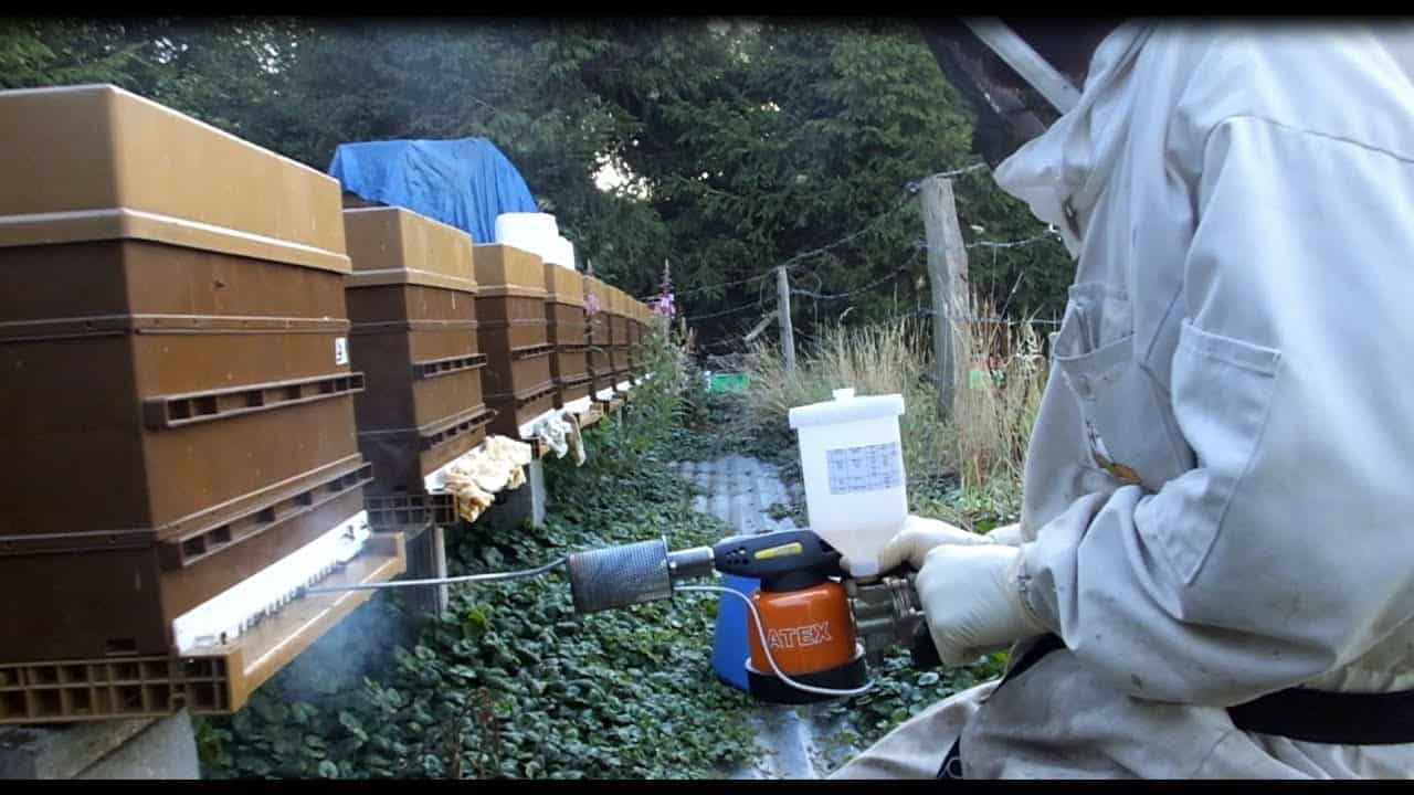 Comment faire un traitement varroa à l'acide oxalique en été